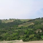 Tenuta San Giorgio - Philarmonica